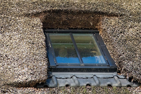 VELUX Classico GGL Tuimelvenster